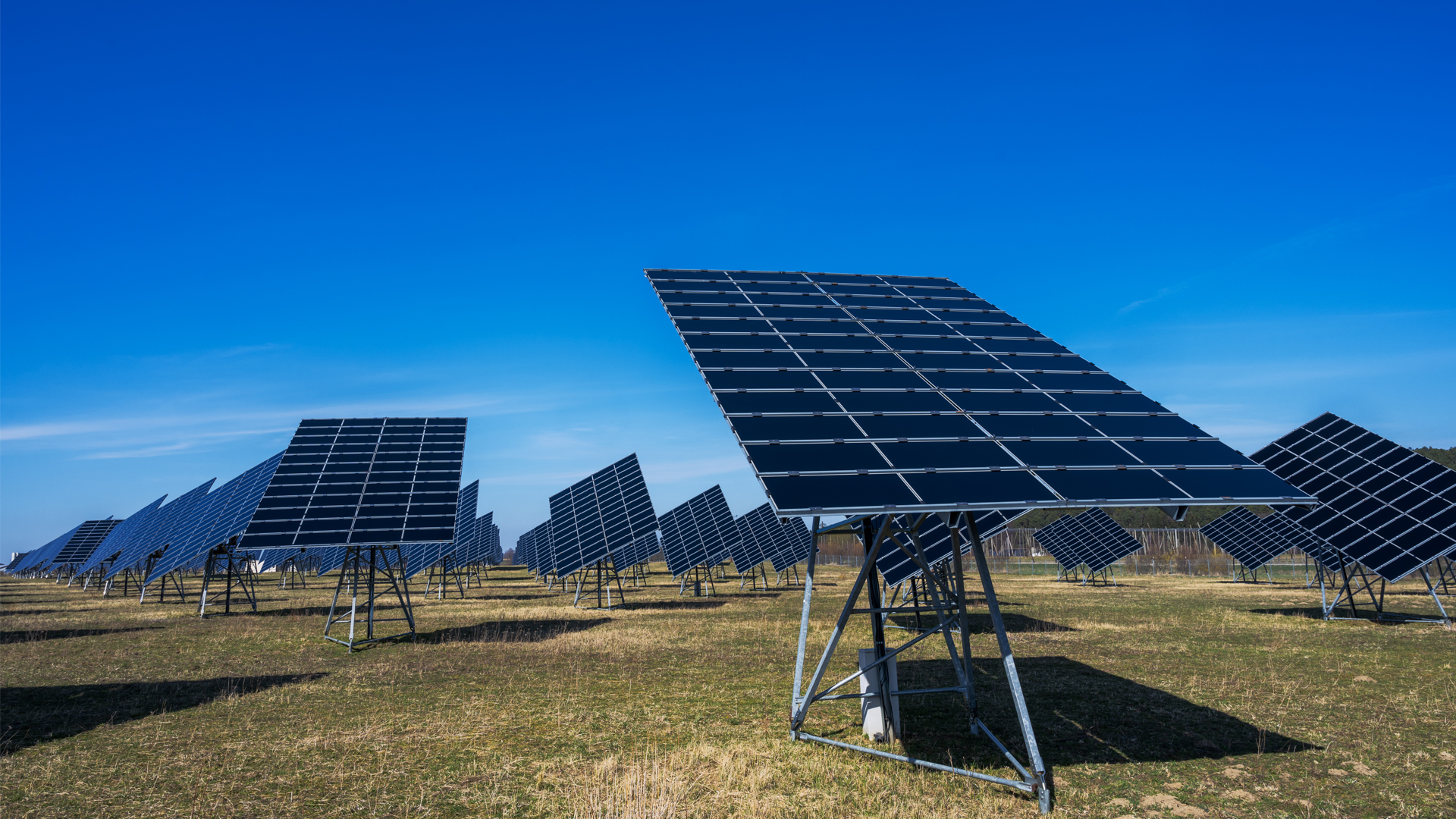 Sustainability